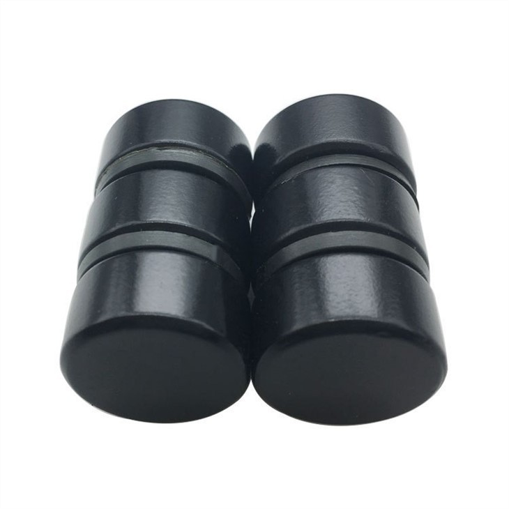 Parylene Coated Magnet-3