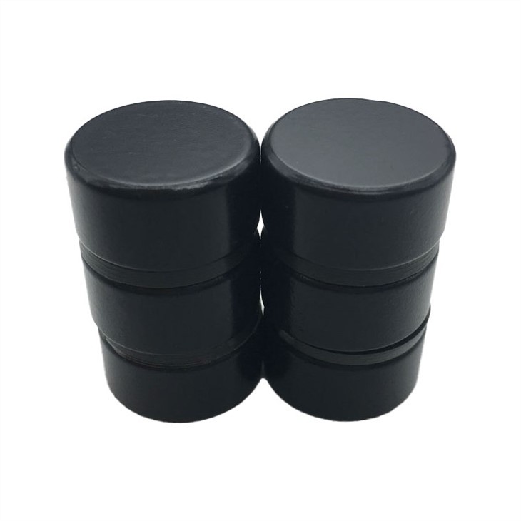 Parylene Coated Magnet-4